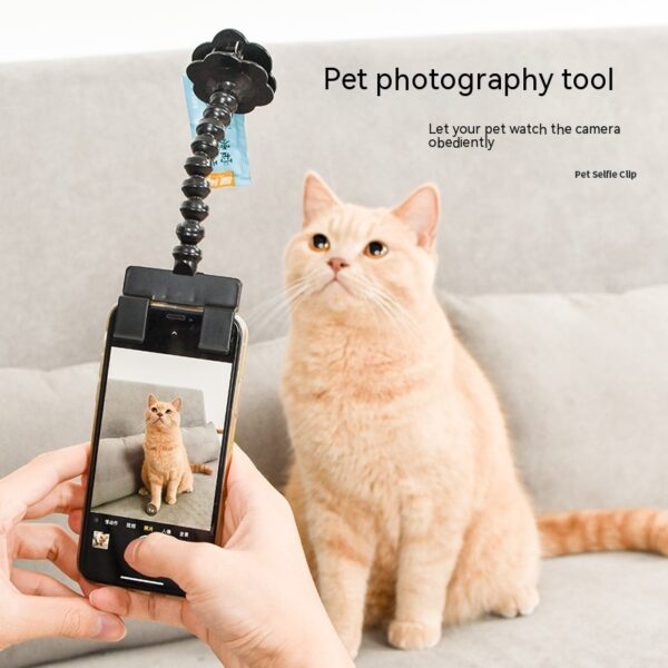 Pet Photography Tool Cat Dog And Dog Viewing Lens Teddy Camera Toy Mobile Phone Camera Holder Selfie Clip Supplies Pet Products - Image 3